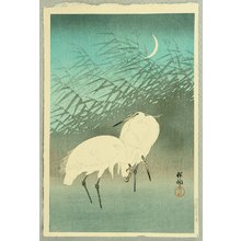 Ohara Koson: Egrets and Crescent Moon - Artelino