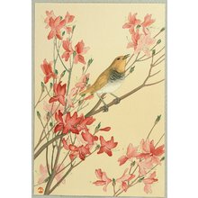 Unknown: Bird on Azalea - Artelino