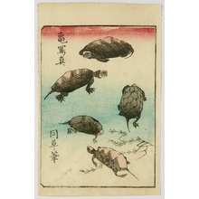 日本版画 "Ehon Tebikigusa - Tortoises" 由 Ando Hiroshige, 歌川広重 (Ando Hiroshige) 创作