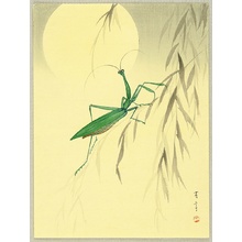 Watanabe Seitei: Praying Mantis and the Moon - Artelino