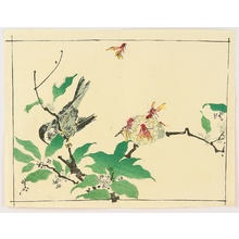 河鍋暁斎: Bird and Hornets - Artelino