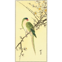 Kawanabe Gyosui: Parrot and Plum - Artelino