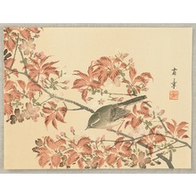 Unknown: Small Bird - Artelino