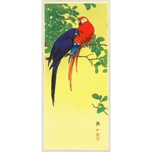 Ito Sozan: Two Macaws - Artelino