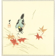 Kikuchi Hobun: Bird and Maple - Artelino