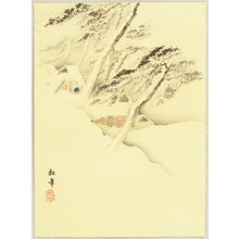 Suzuki Shonen: Deep Snow - Artelino