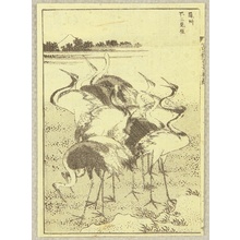 Katsushika Hokusai: One Hundred Views of Mt. Fuji - Cranes - Artelino