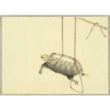 Japanese Print "Hanging Turtle" by Unknown, 無款 (null)