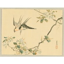 Unknown: Swallows and Cherry Blossoms - Artelino