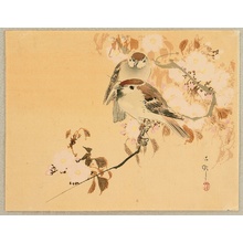 Ohara Koson: Sparrows and Cherry Blossoms - Artelino