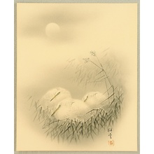 Japanischer Druck "Herons and the Moon" von Unknown, 無款 (null)