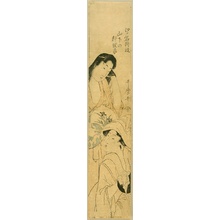 Kitagawa Utamaro: Beauties - Artelino