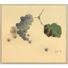 Watanabe Seitei: Mouse and Grapes - Artelino
