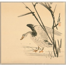 Ogata Gekko: Wild Goose and Reeds - Artelino