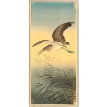 Ohara Koson: Great Egret in Flight - Artelino