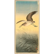 小原古邨: Great Egret in Flight - Artelino