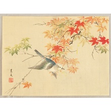 Unknown: Bird and Maple - Artelino