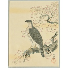 Unknown: Falcon and Cherry Tree - Artelino