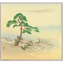 Unknown: Pine Tree and Wild Roses on a Shore - Artelino