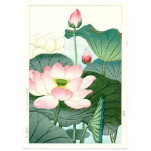 Nishimura Hodo: Lotus - Artelino