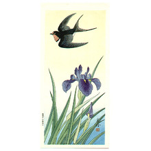 Jo: Black Bird and Iris - Artelino