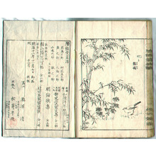 Unknown: Birds and Flowers - Senryudo Gafu (e-hon, book) - Artelino