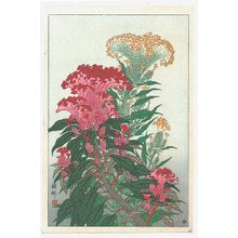 Ohara Koson: Flowering Coxcomb - Artelino