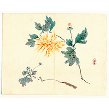 Unknown: Praying Mantis, Flower and Fruit (3 Panels) - Artelino