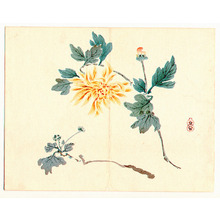 無款: Praying Mantis, Flower and Fruit (3 Panels) - Artelino