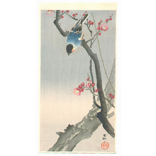 小原古邨: Blue Bird on a Plum Tree - Artelino