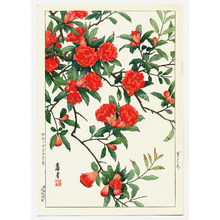 Nishimura Hodo: Pomegranate - Artelino