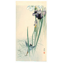小原古邨: Iris and Kingfisher - Artelino