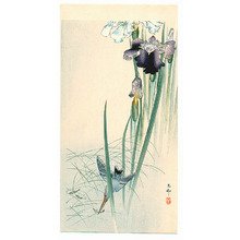 Ohara Koson: Iris and Kingfisher - Artelino