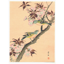 Kikuchi Hobun: Two Birds on a Cherry Tree - Artelino
