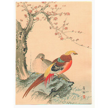 Kikuchi Hobun: Two Pheasants - Artelino
