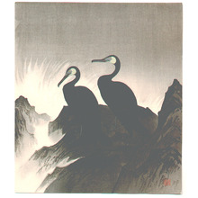 Unknown: Two Cormorants and the Rough Sea - Artelino