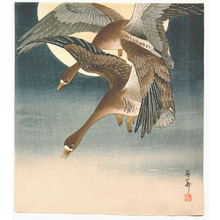 Unknown: Geese in the Moon Light - Artelino