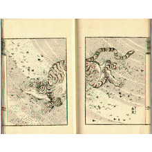 葛飾北斎: Hokusai Manga (Meiji printing) vol.13 - Artelino