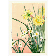 Nishimura Hodo: Daffodils (Muller Collection) - Artelino