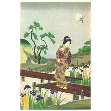 Toyohara Chikanobu: Summer Garden - Artelino