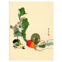 Watanabe Seitei: Mouse and Red Radish (Muller Collection) - Artelino