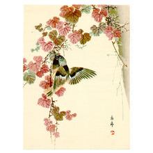 Imao Keinen: Bird and Purple Leaves (Muller Collection) - Artelino