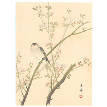 今尾景年: Bird on Pink Blossoming Branch (Muller Collection) - Artelino