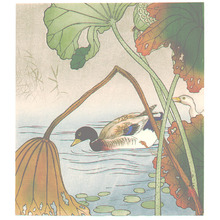 無款: Mallard and Lotus Leaves (Muller Collection) - Artelino