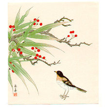 Unknown: Bird and Red Berries (Muller Collection) - Artelino