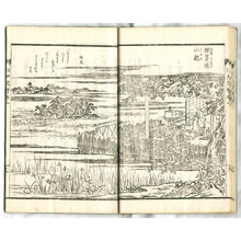 長谷川雪旦: Flower Calender of Edo Vol.2 and Vol.3 (2 vols, e-hon book) - Artelino