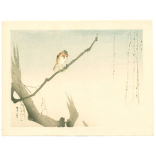 Watanabe Seitei: Small Bird on Willow Tree (Muller Collection) - Artelino