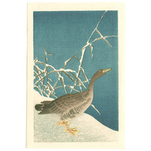 無款: Goose with Yellow Feet (small print: Muller Collection) - Artelino