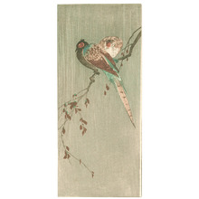 Unknown: Two Pheasants (Muller Collection) - Artelino