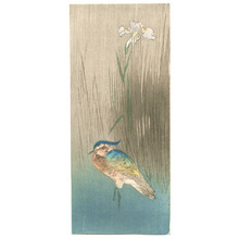 Unknown: Bird and Iris (Muller Collection) - Artelino
